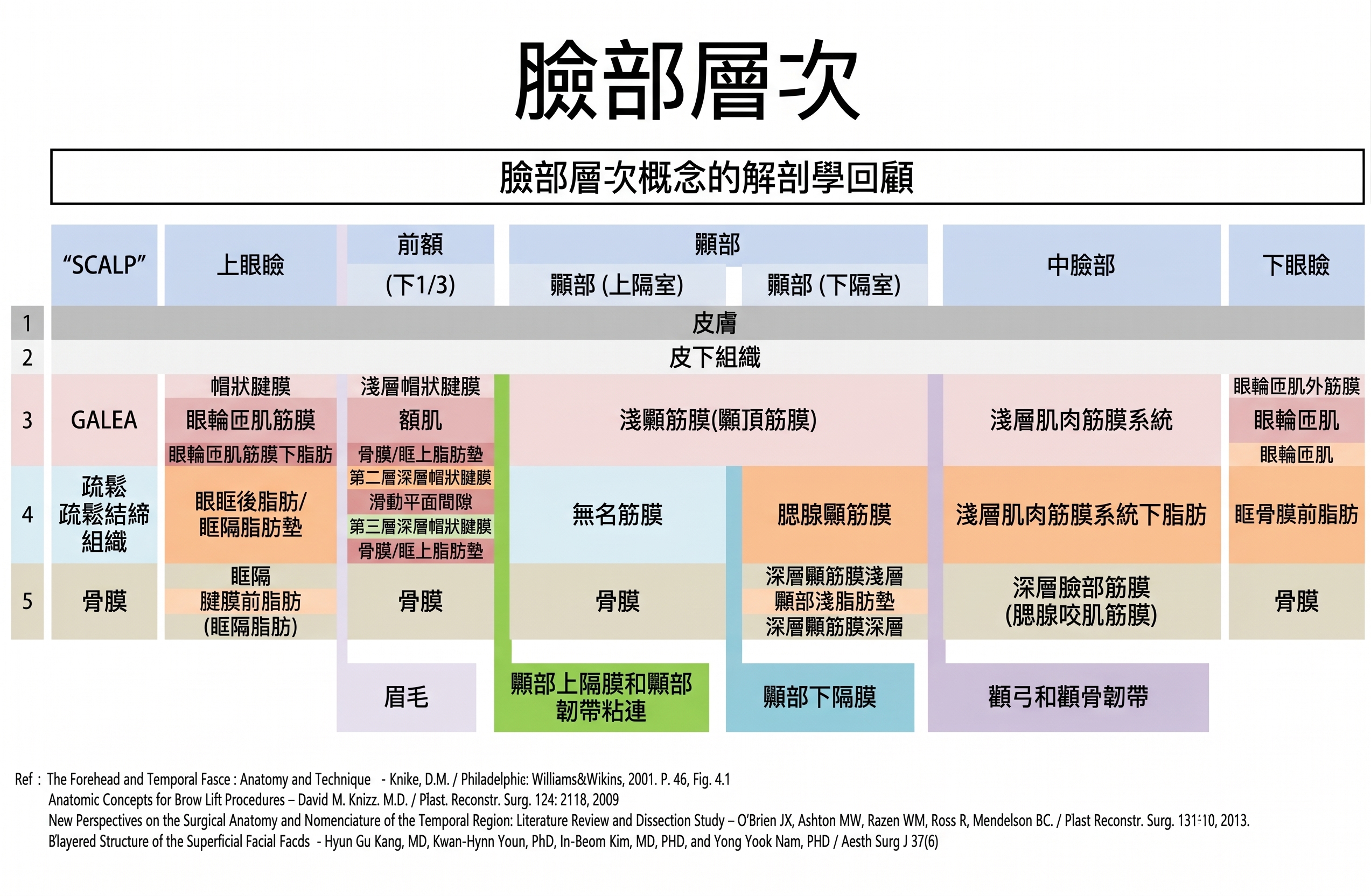 拉皮手術不只是拉緊皮膚——高位深層筋膜拉皮術（Deep Plane Facelift）的核心原理 | 泰勒整形外科 사진 4